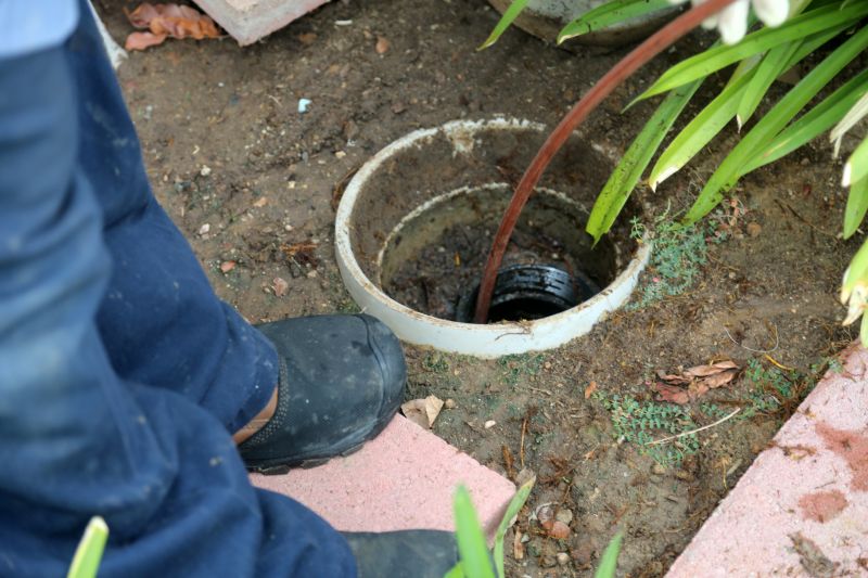 Contact About Sewer Root Removal