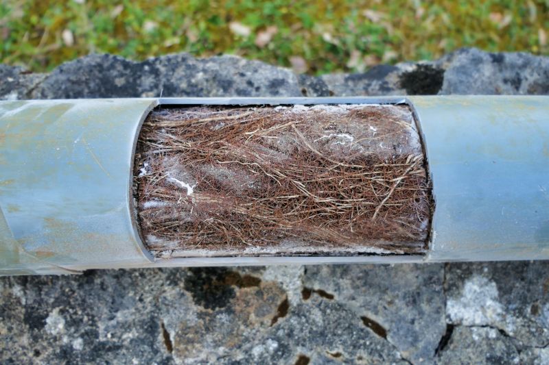 Sewer Root Removal